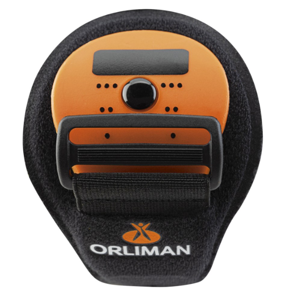 Captura de ecrã 2024-07-30 122747